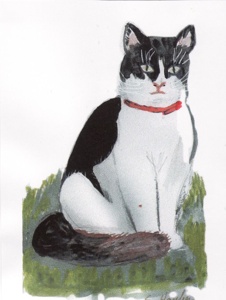 chat noir et blanc dessin